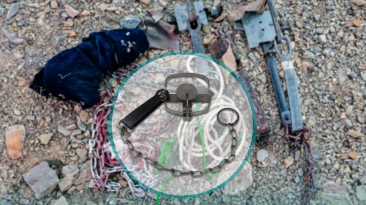 Fujairah Authority Seizes Trapping Equipment in Mountainous Area