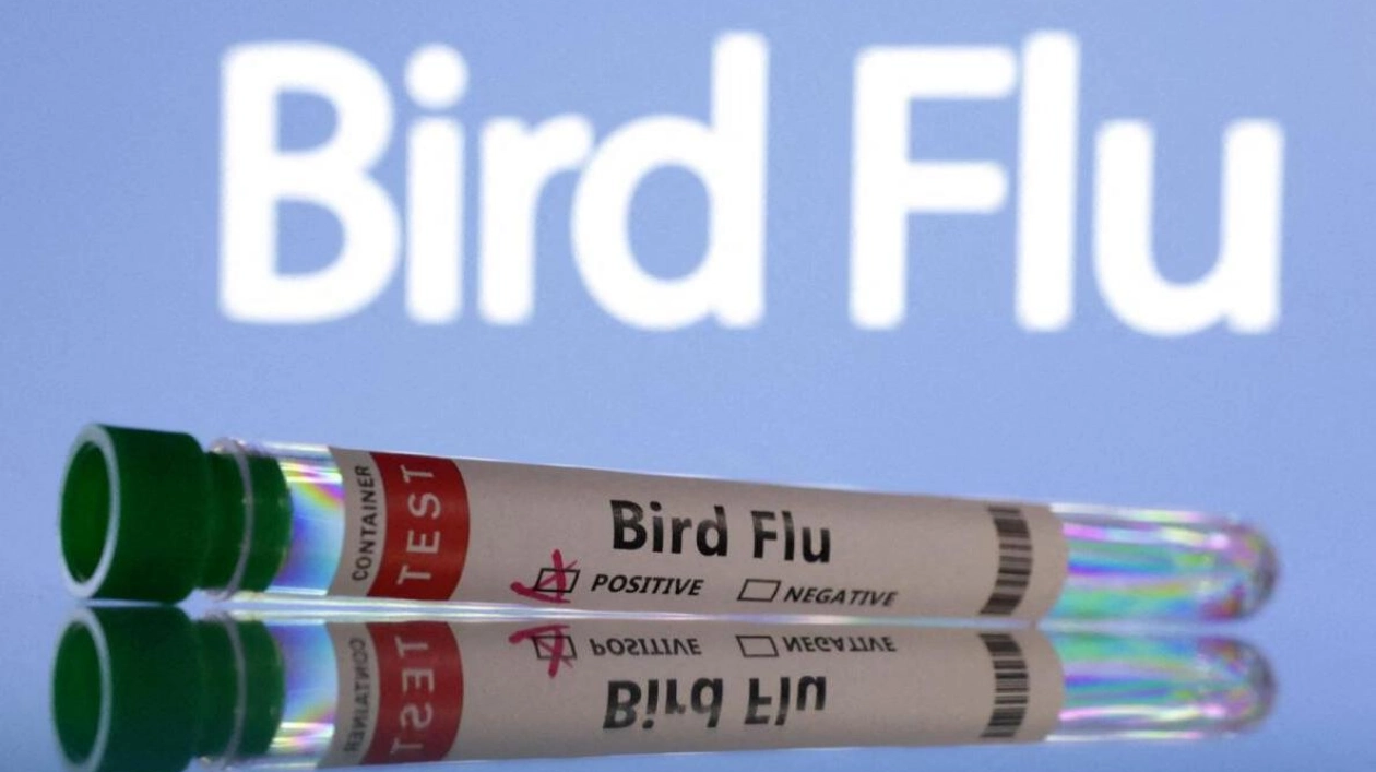 Bird Flu: A Potential Pandemic Threat