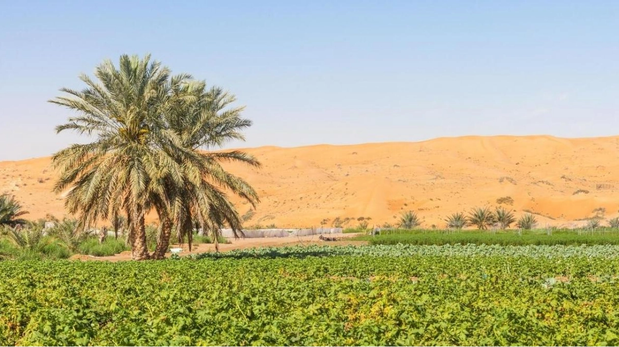 MOCCAE Launches Program to Enhance Agricultural Extension Efficiency