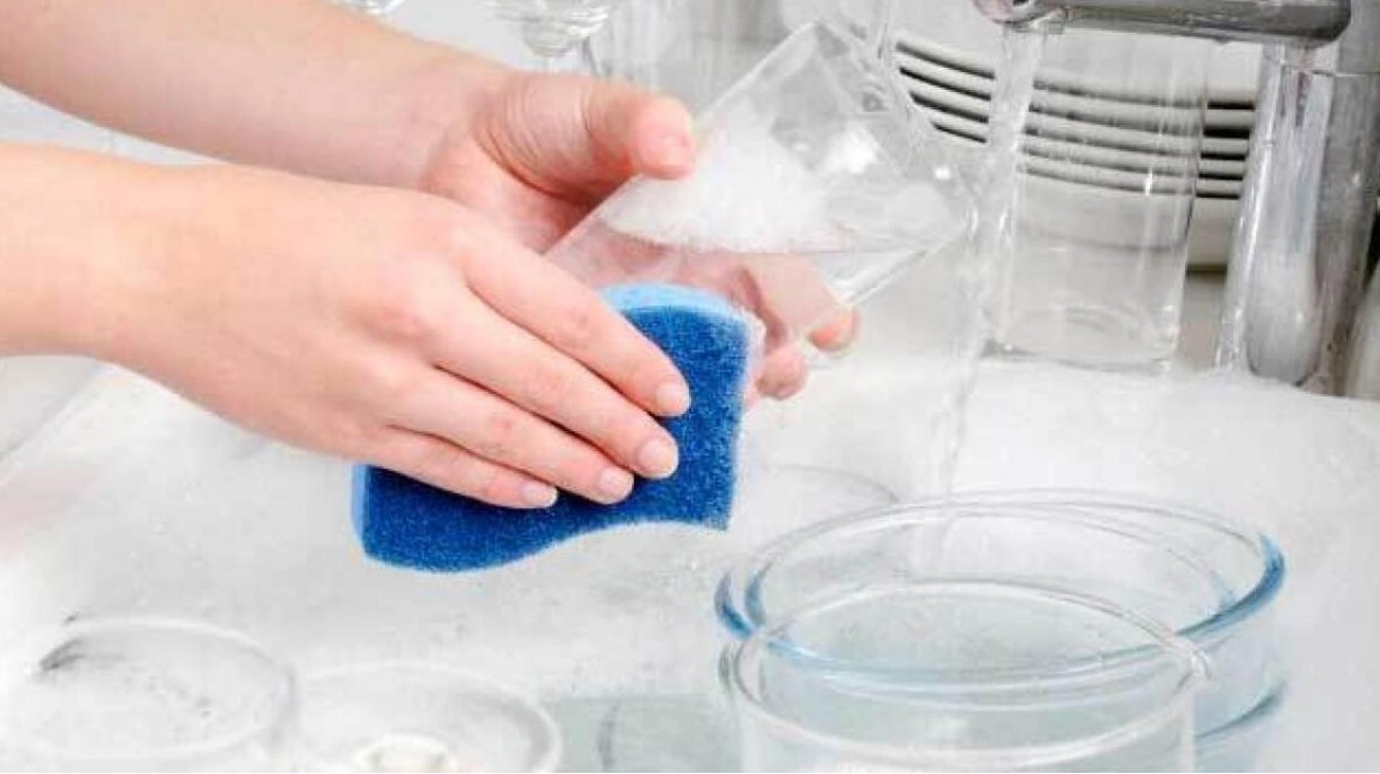 Kitchen Sponges: Hidden Health Hazards