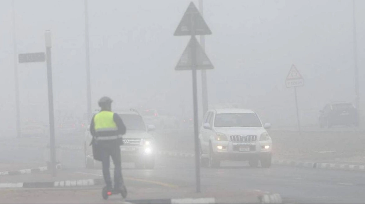 Foggy Weather Forecast for Coastal and Inland UAE