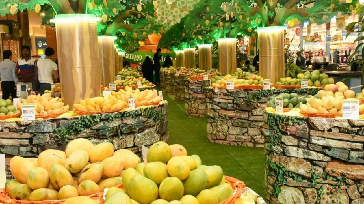UAE Celebrates Mango Season with Festivals and Competitions