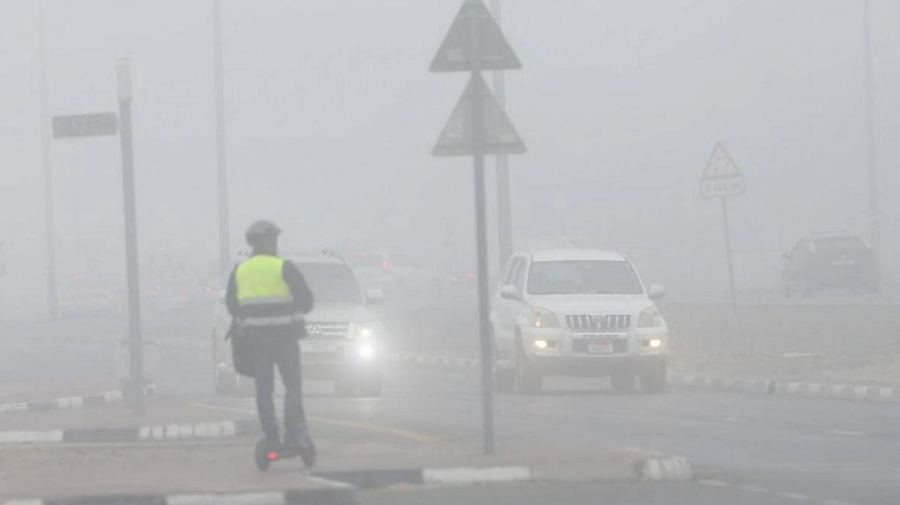 Red Alert Issued for Fog; Motorists Advised to Exercise Caution