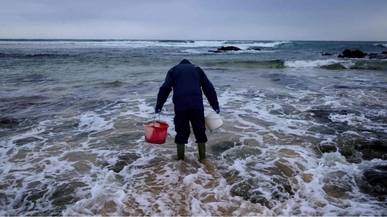 German Scientists Discover Plastic-Eating Fungi