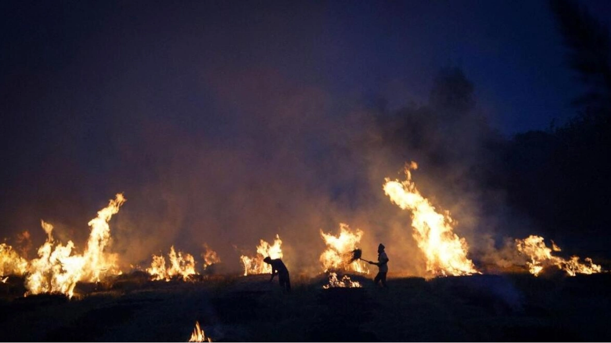 16 Farmers Arrested for Stubble Burning in Haryana