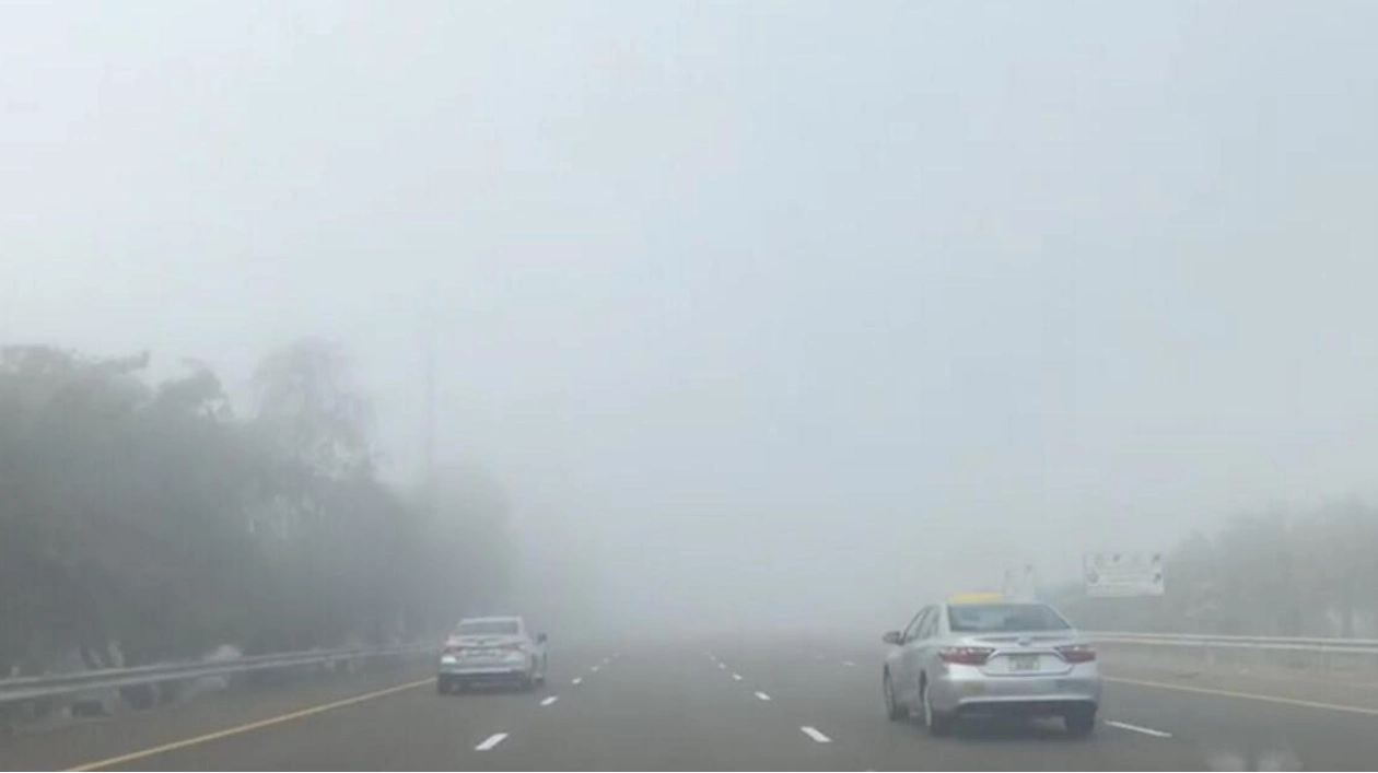 NCM Issues Fog Warning for Motorists