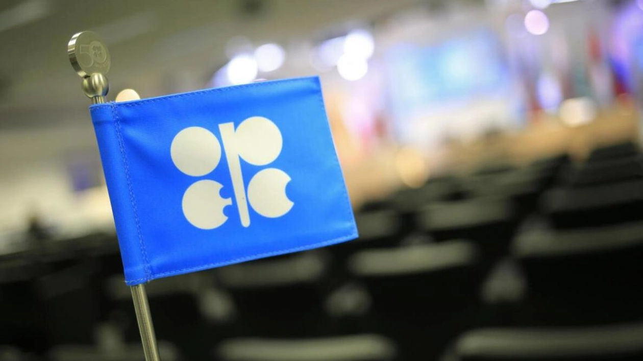 Oil's Future Role in Energy Pathways: Opec's Perspective