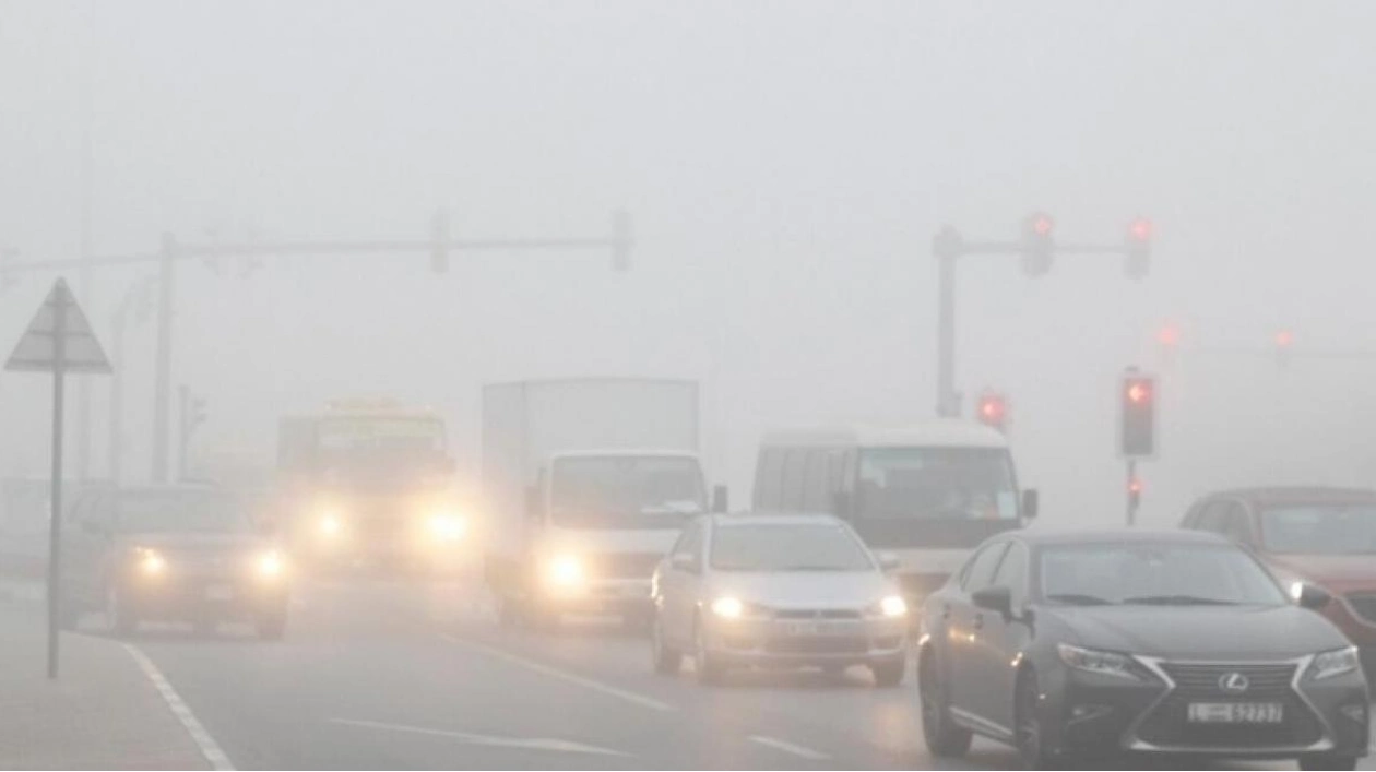 Fog Warning Issued for UAE Motorists; Expect Varied Weather Conditions