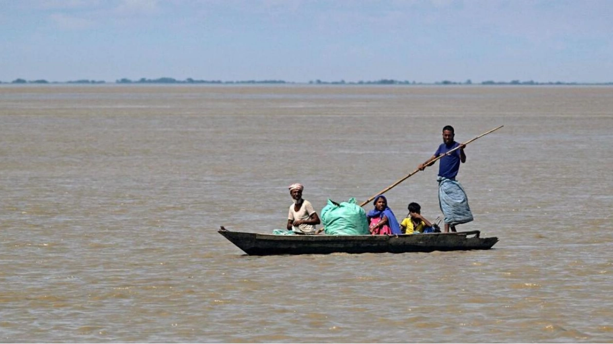 Floods in Assam: 215 Animals Dead, Including 13 Rhinos at Kaziranga