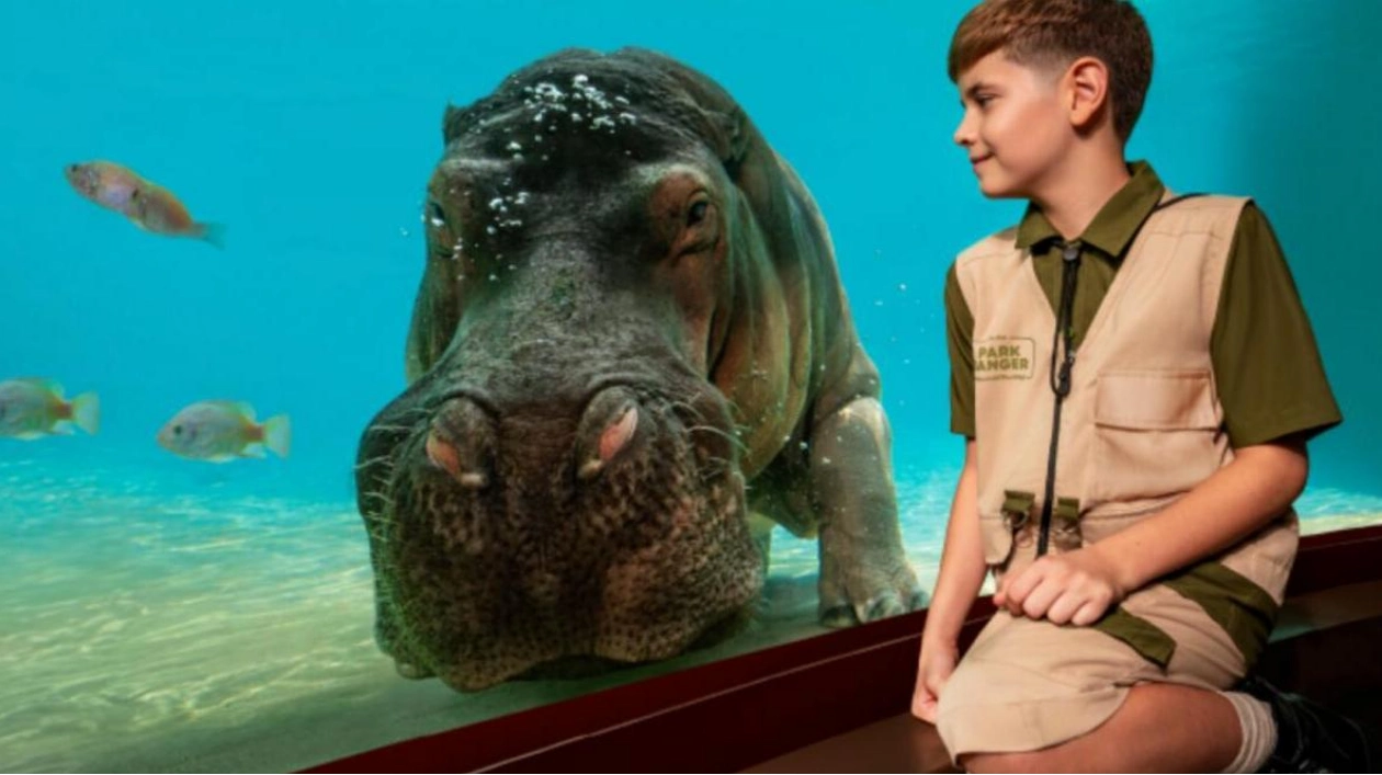 Dubai Safari Park's Junior Ranger Program Returns for Sixth Season