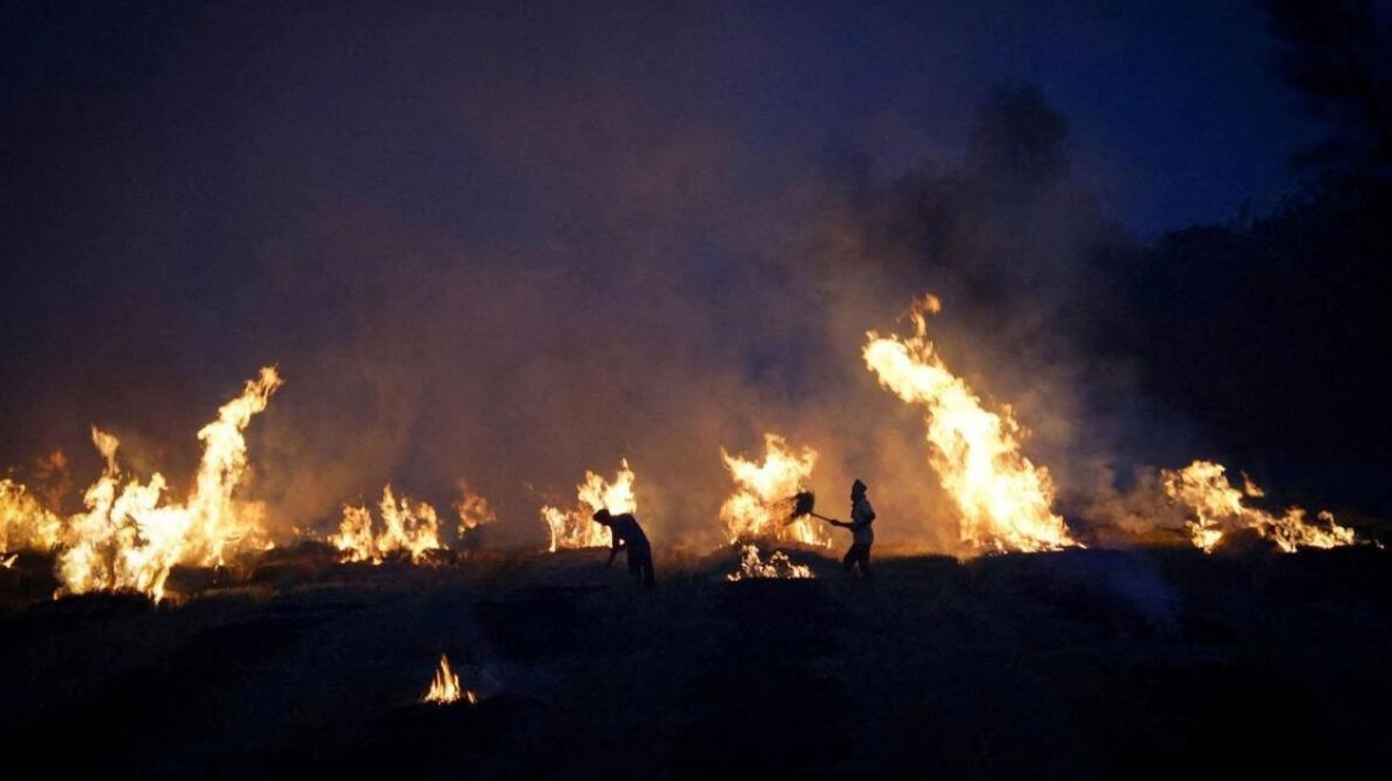 Farmers in India Face Dilemma Over Stubble Burning