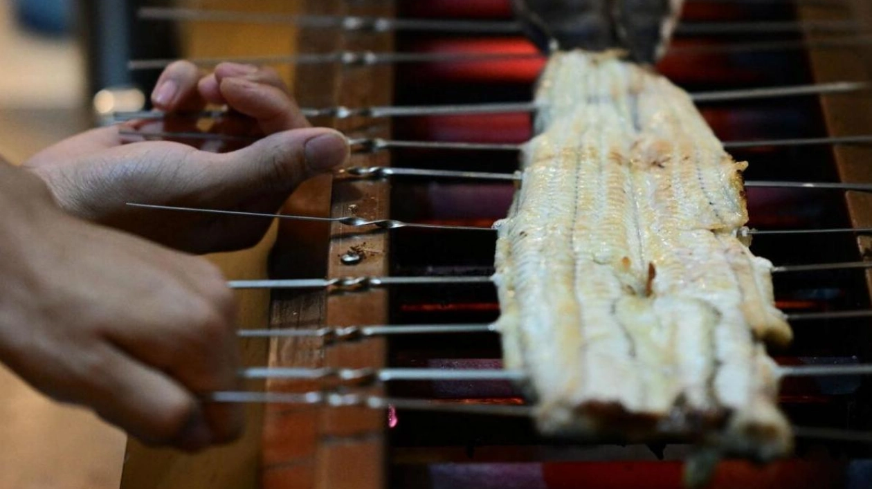 Food Poisoning Outbreak Linked to Grilled Eel in Japan