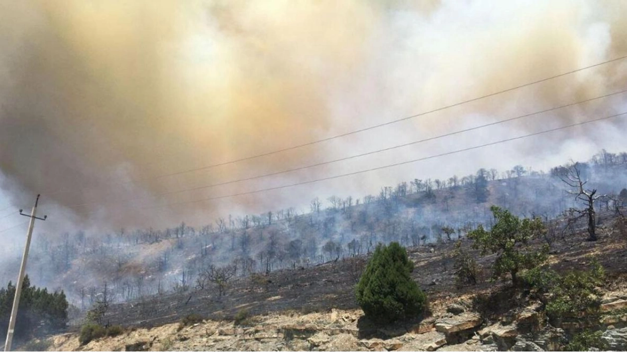 Novorossiisk Declares State of Emergency Amid Forest Fires