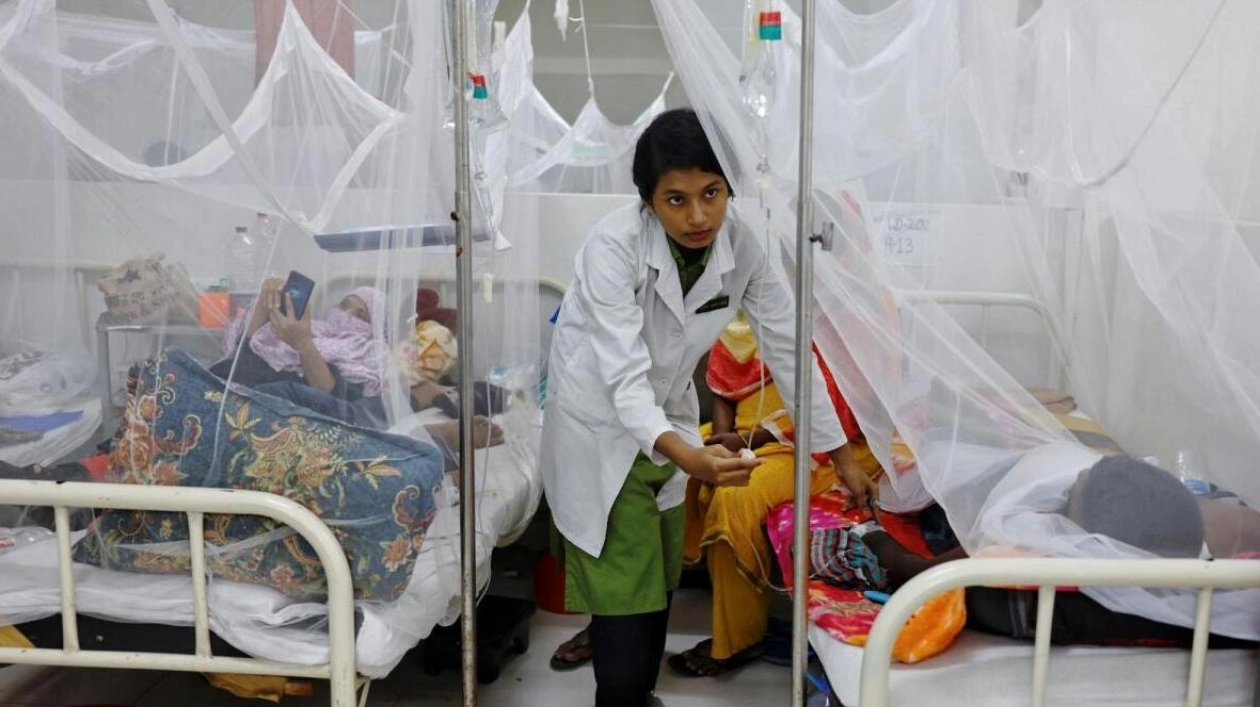 Bangladesh Confronts Worst Dengue Outbreak in Years