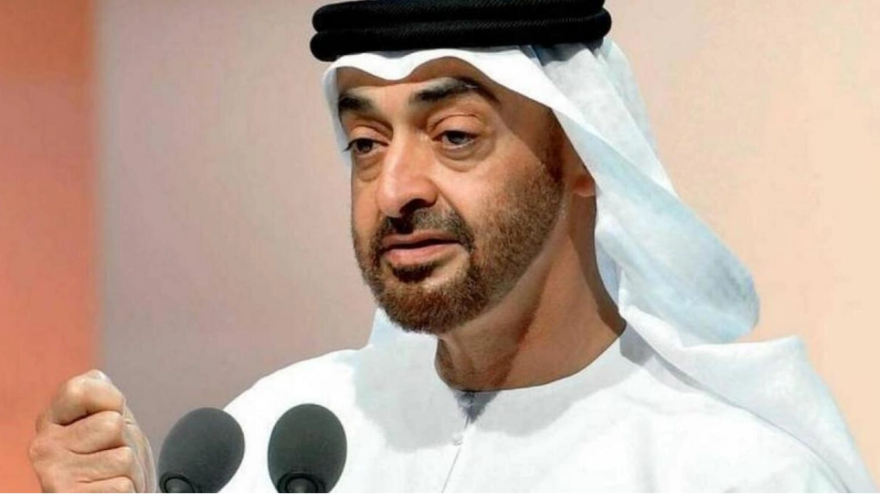 UAE Establishes Aid Agency Under International Council