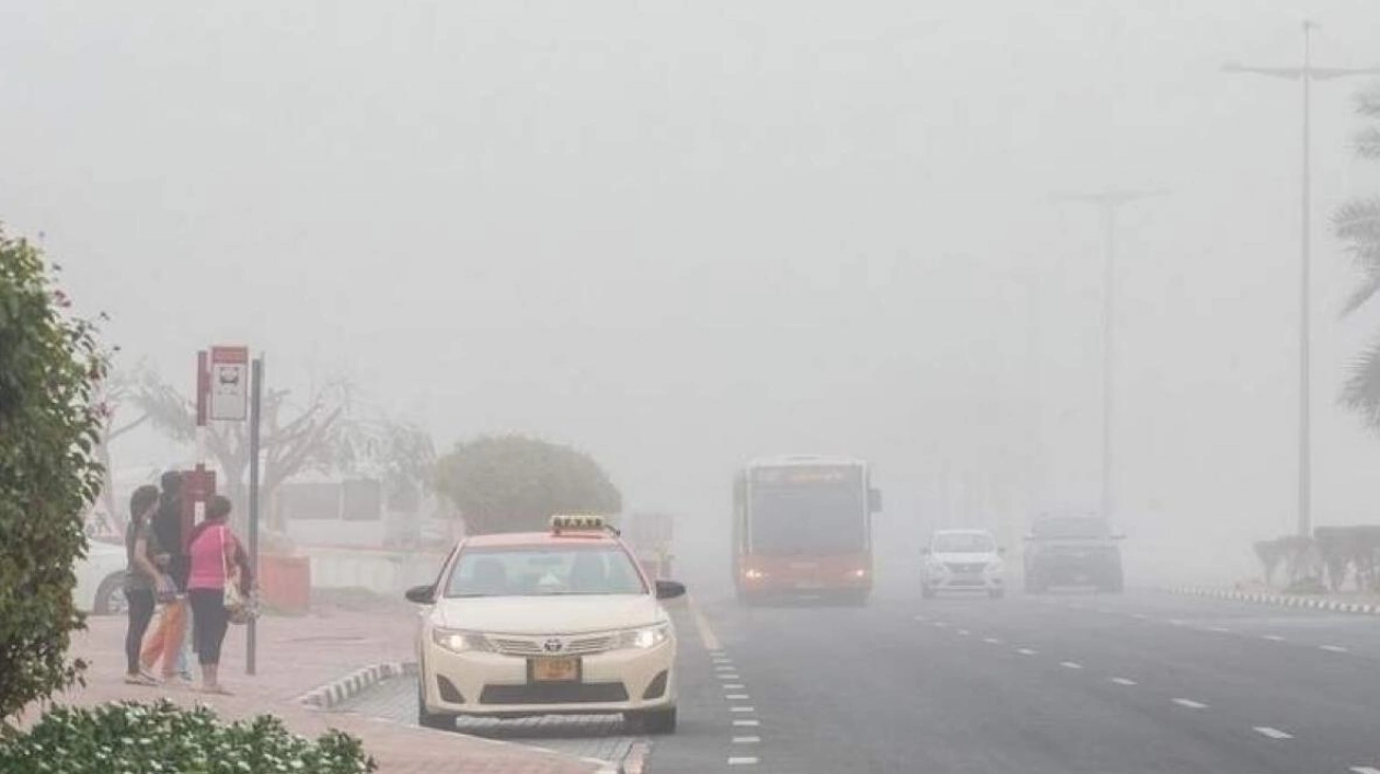 Fog Alert: Drivers Urged to Exercise Caution