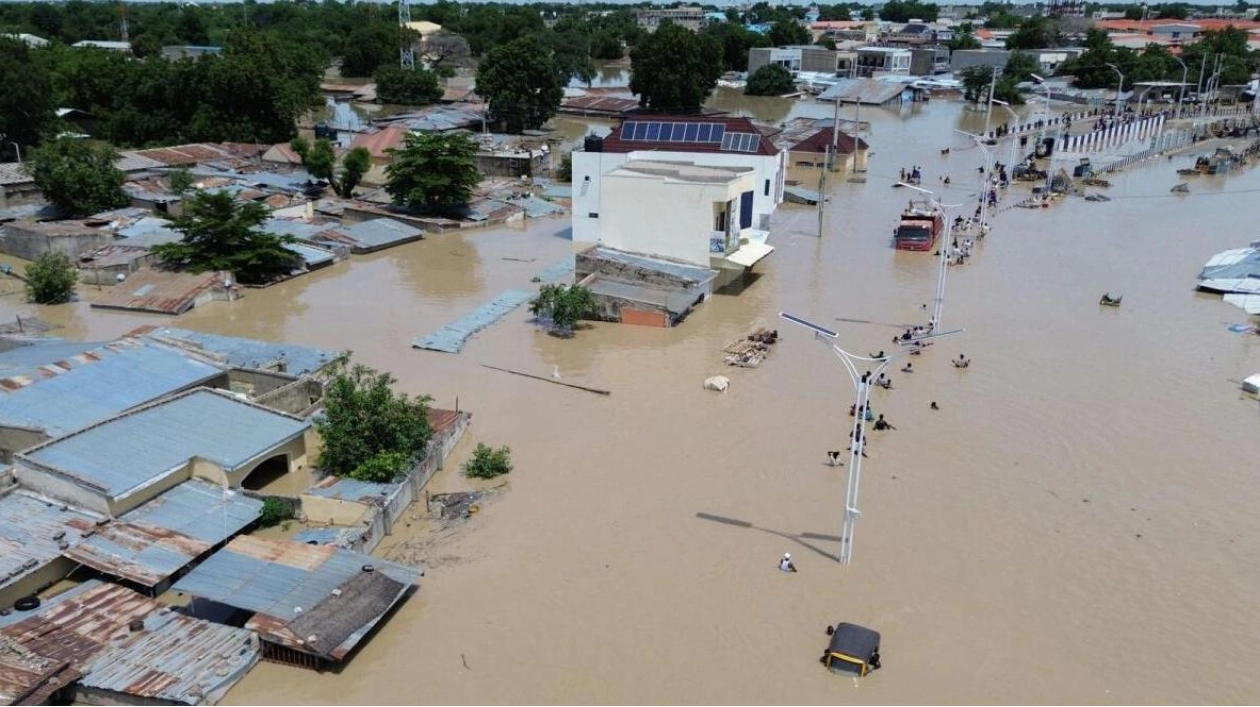 Floods in Northern Nigeria Devastate Zoo, Displace Thousands