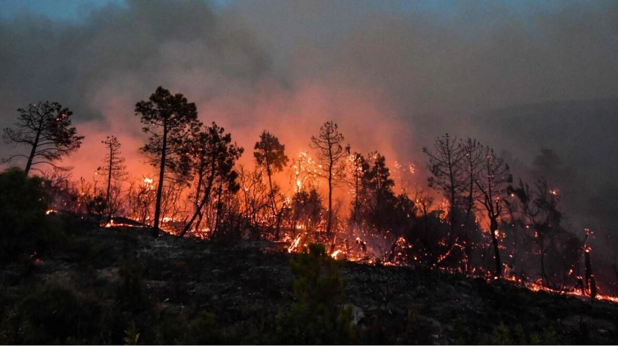 UAE Embassy in Istanbul Warns Citizens of Forest Fires