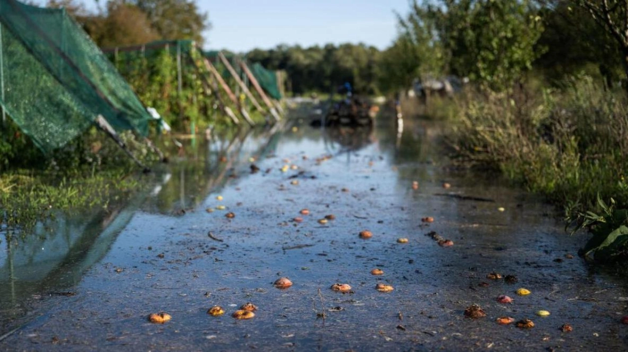 Floods Devastate Hungarian Farmer's Organic Crops