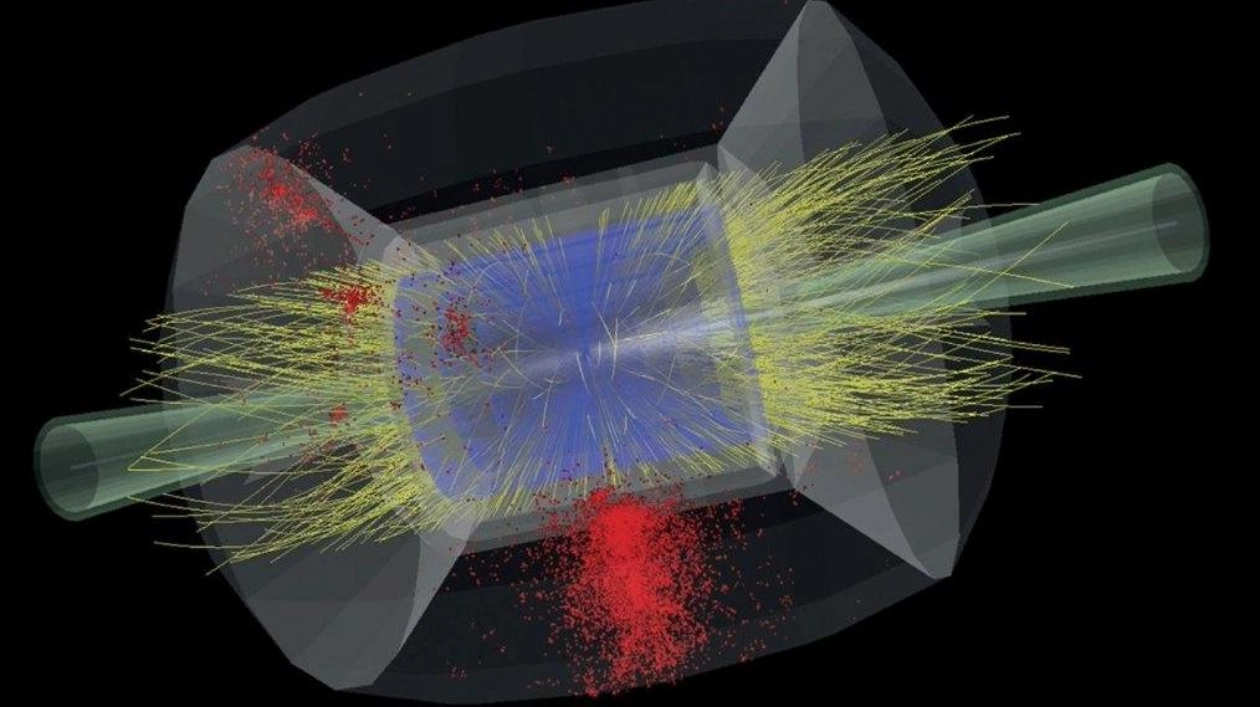 Muons Make Headway in Particle Physics Experiments