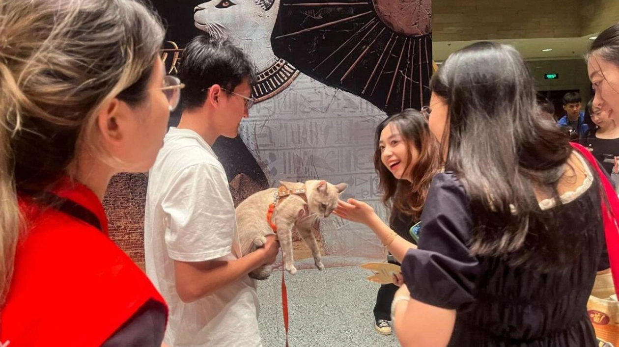 Shanghai Museum's Ancient Egyptian Exhibition Welcomes Cat Visitors