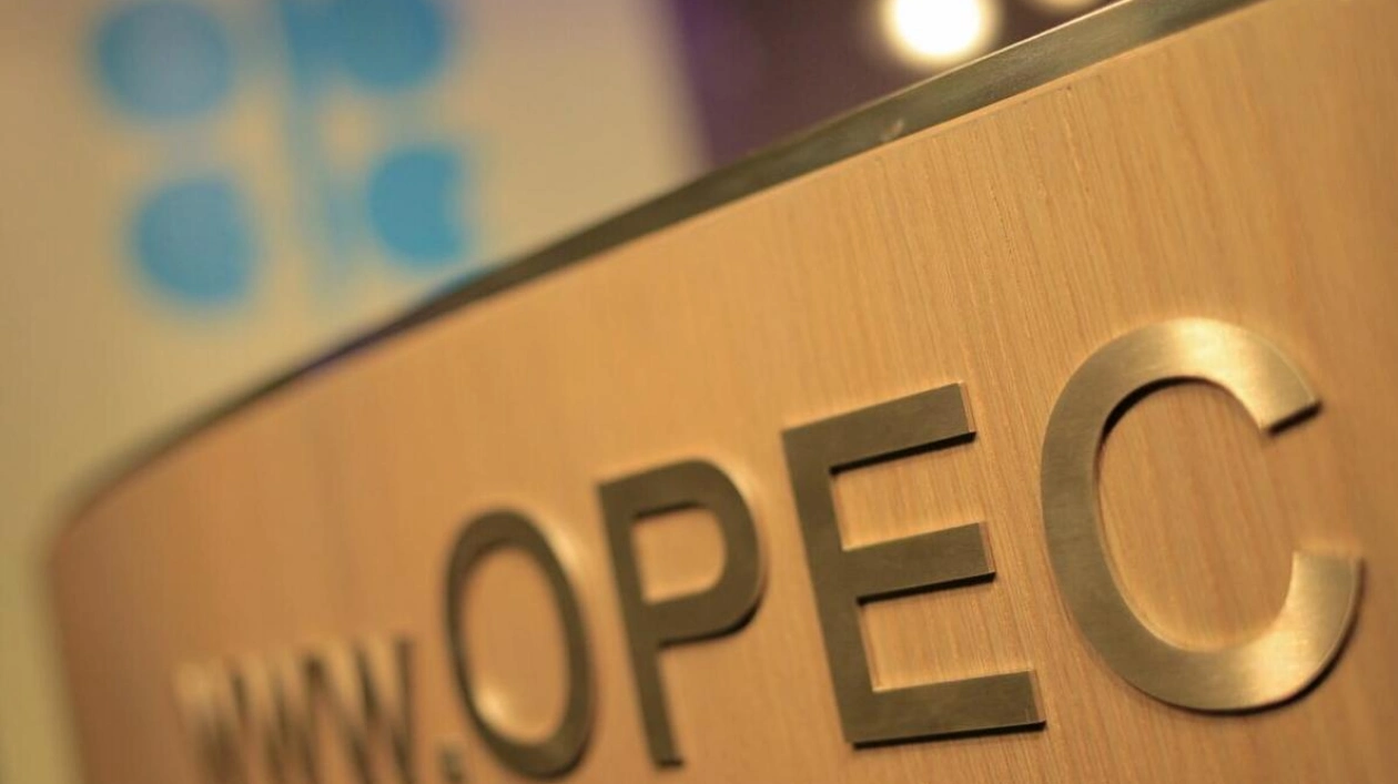 OPEC Raises Long-Term Oil Demand Forecasts