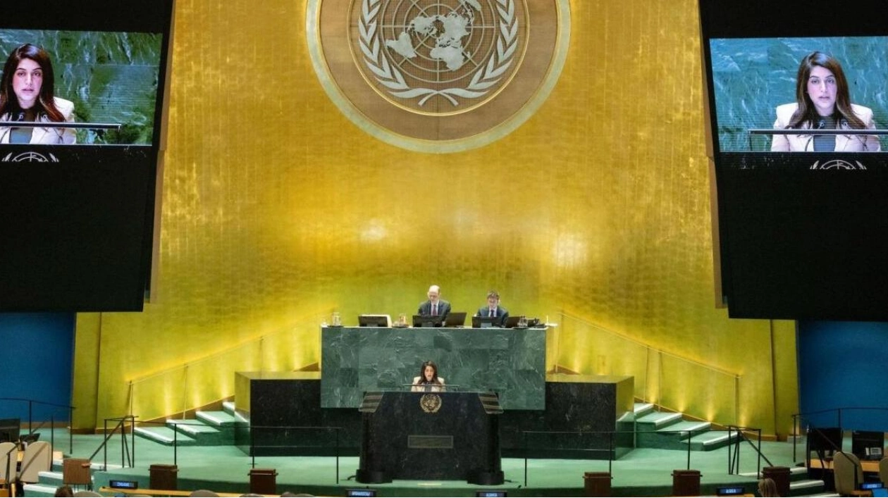 UAE Calls for UN Security Council Reform, Veto Power Review