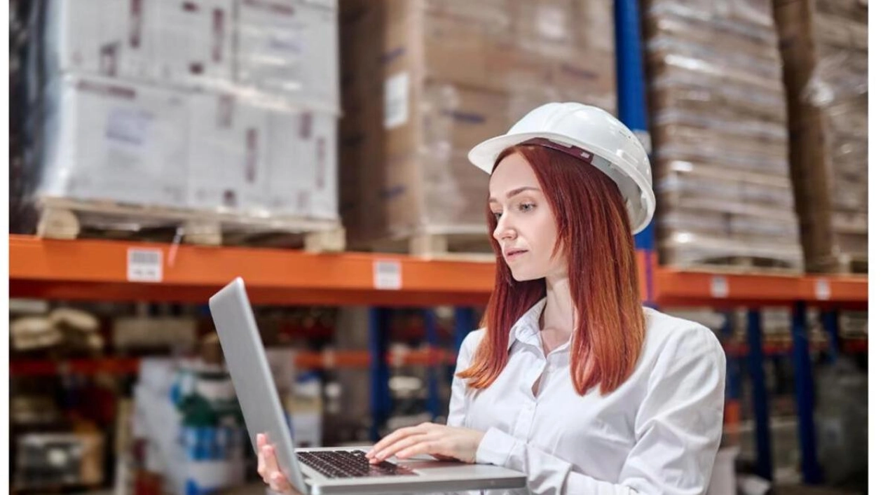 Enhancing Supply Chain Efficiency with DF Alliance's SeaRates ERP Tool