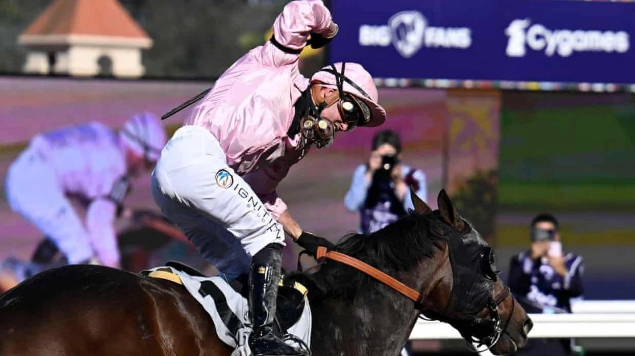 Plan B Pays Off at Breeders' Cup Classic