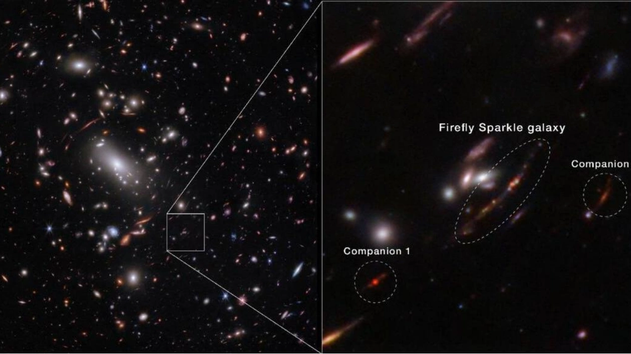 NASA's James Webb Discovers Young Galaxy 'Firefly Sparkle'