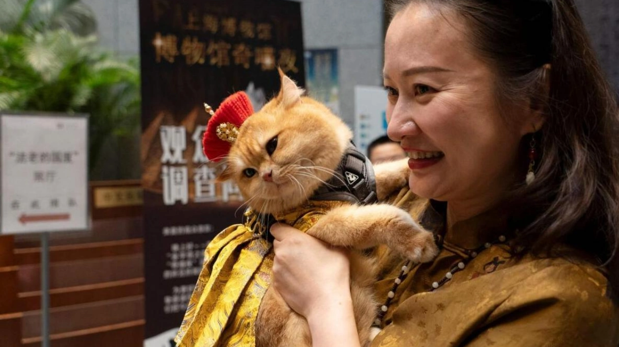 Glamorous Cats Attend Inaugural Ancient Egypt Night at Shanghai Museum