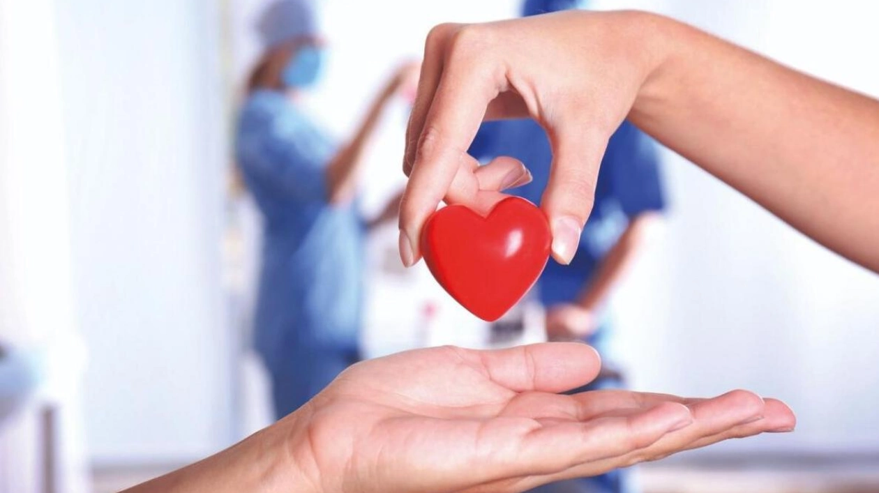 Understanding Organ Donation and Transplantation in the UAE