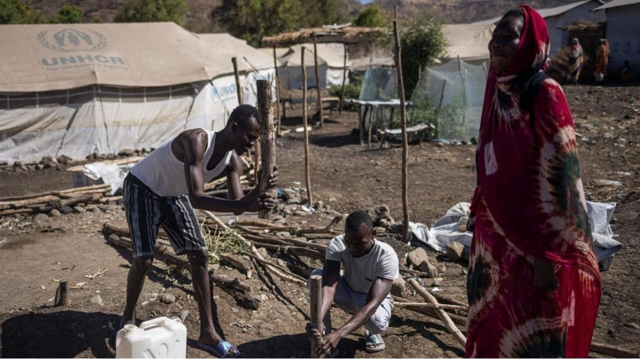 Joint Statement by International Bodies on Sudan's Humanitarian Crisis