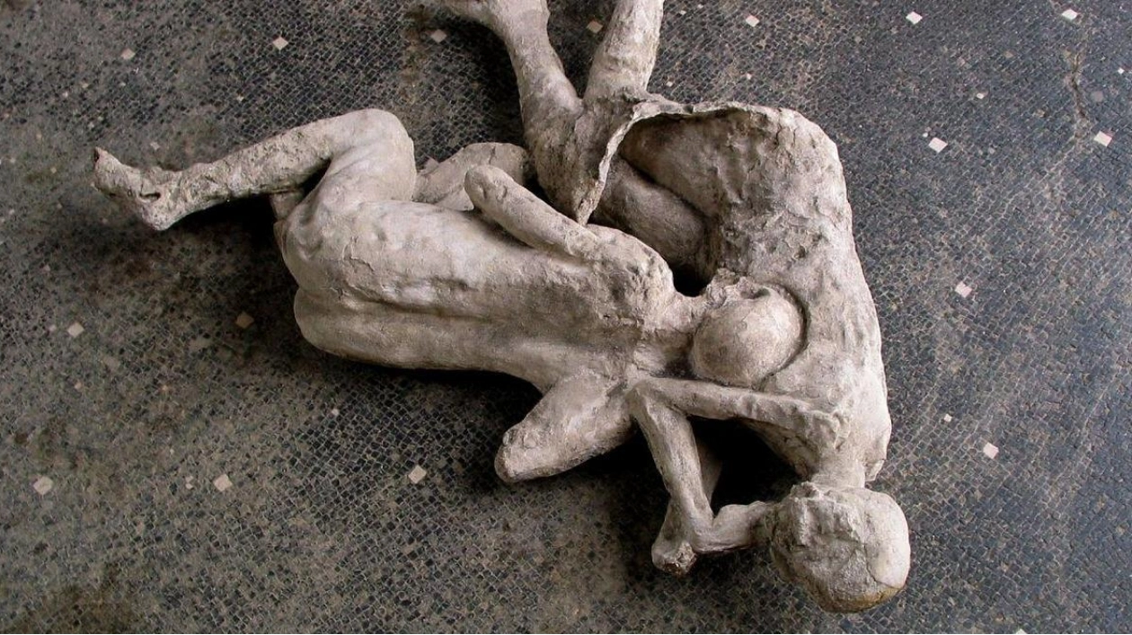 DNA Analysis Challenges Pompeii Victim Relationships