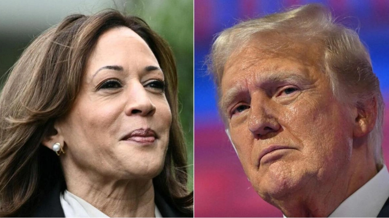 Kamala Harris Leads Trump in Key Battleground States: New Polls