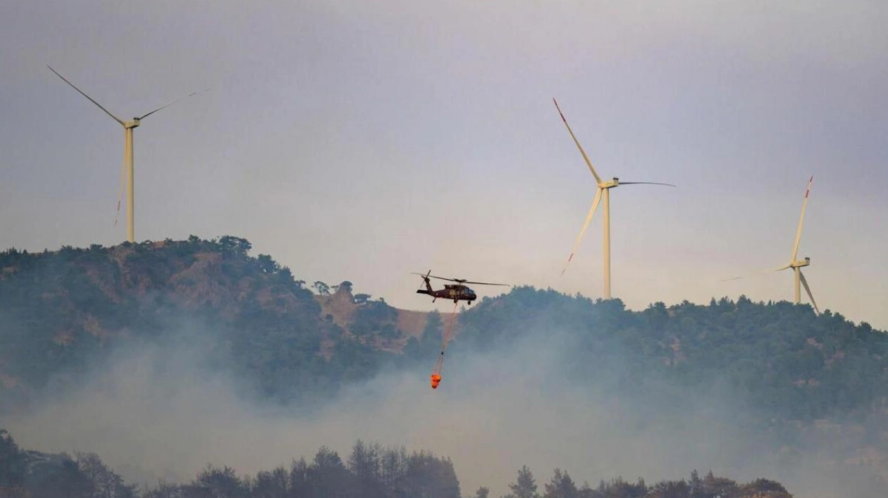 Izmir Forest Fires Largely Contained, Authorities Report