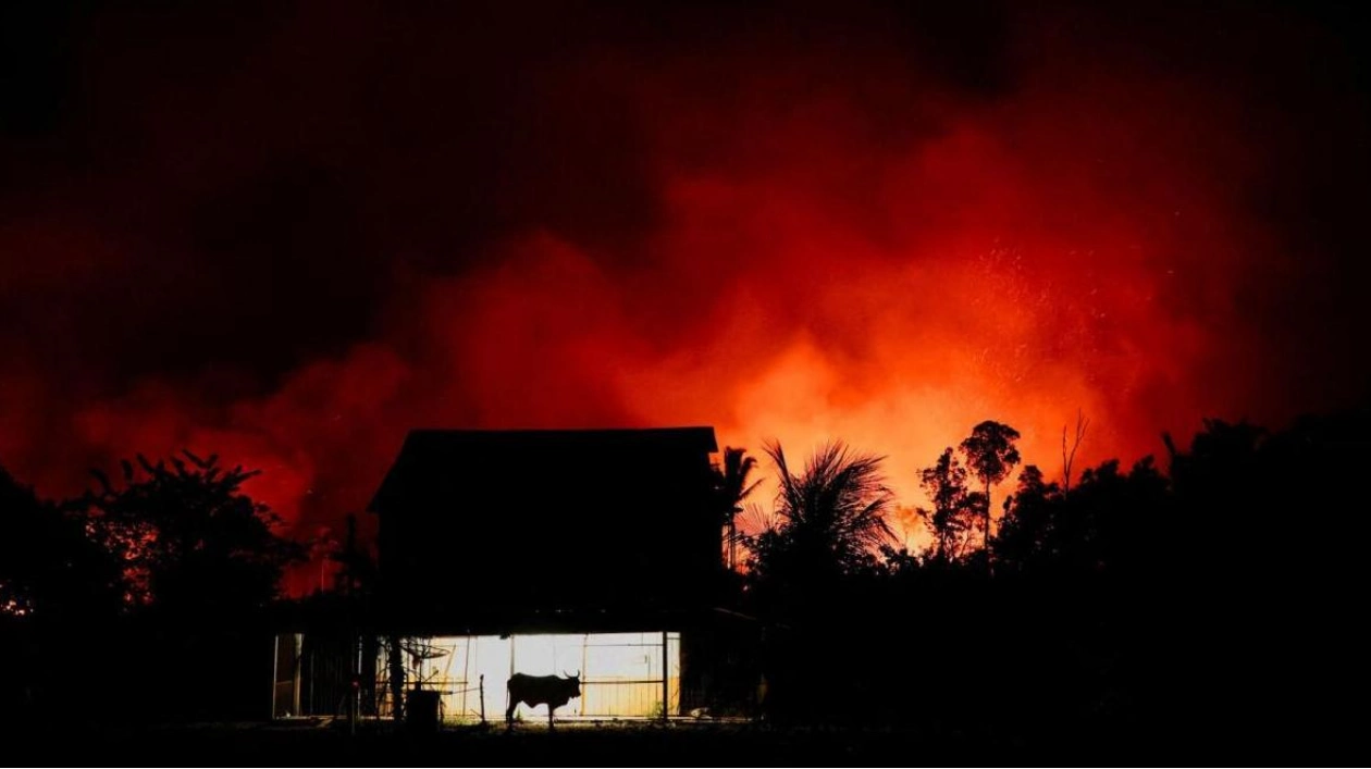 Amazon Rainforest Loss Fuels Climate Crisis