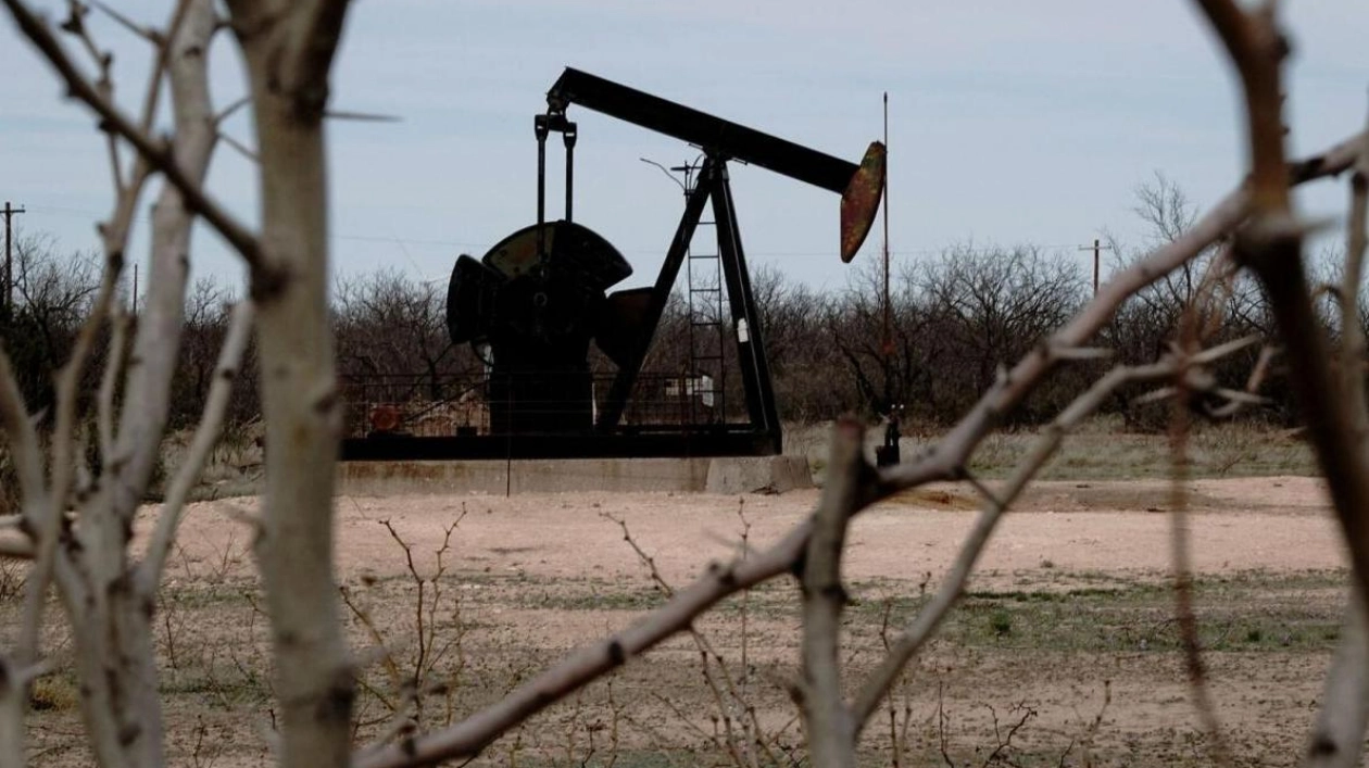 Oil Prices Stabilize Amid Production Normalization