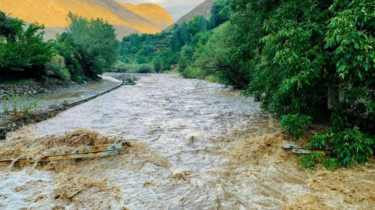 Heavy Rain in Eastern Afghanistan Claims 35 Lives and Injures 230