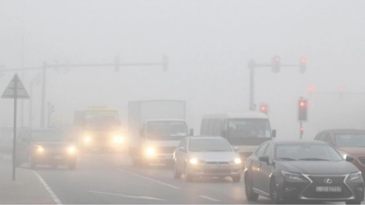 Red Alert Issued for Fog in UAE