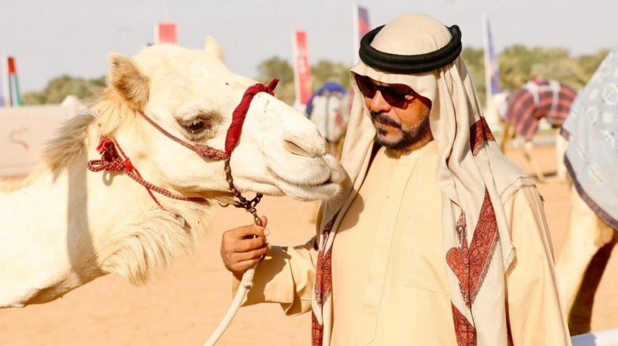 Saffron Master Samir Ahmed: Honoring UAE's Camel Champions