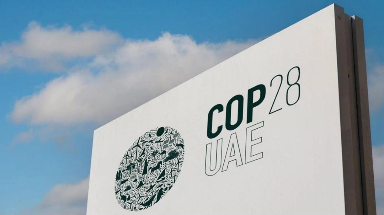 COP29 in Baku: Will It Advance Global Climate Action?