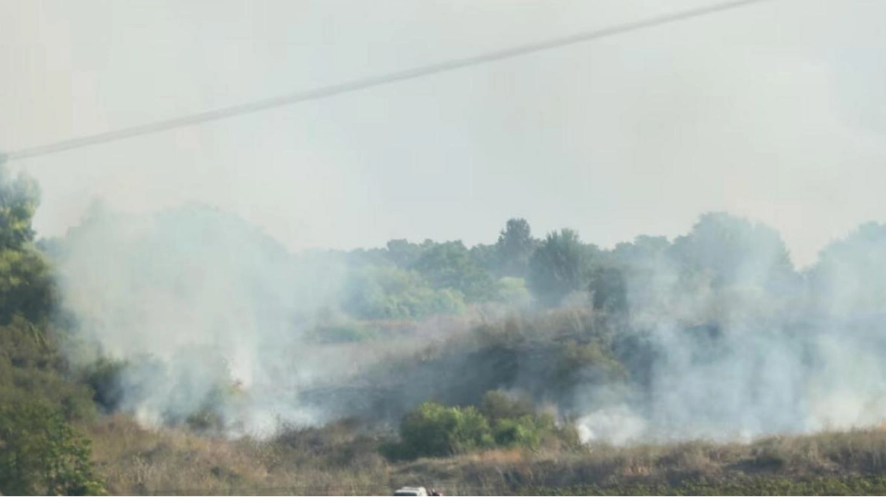 Yemeni Missile Strikes Unpopulated Area in Central Israel, No Injuries Reported