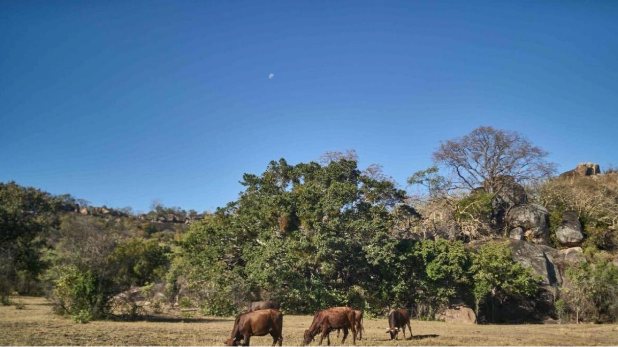 Africa Struggles with Rising Climate Change Costs Despite Low Emissions