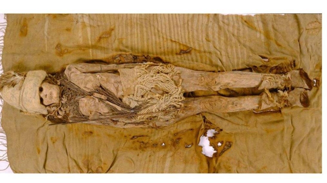 Oldest Preserved Cheese Found on Ancient Mummies