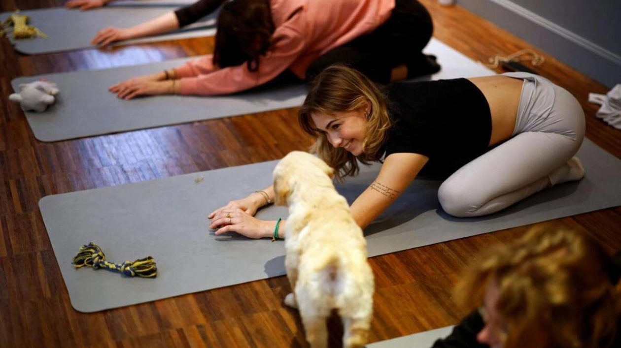 Puppy Love Meets Mindfulness: Yoga with Adorable Puppies