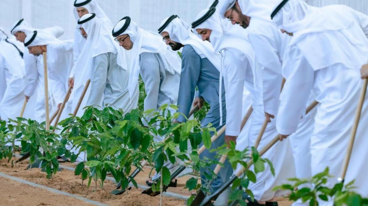 Dubai's Ruler Launches 'Plant the Emirates' Initiative