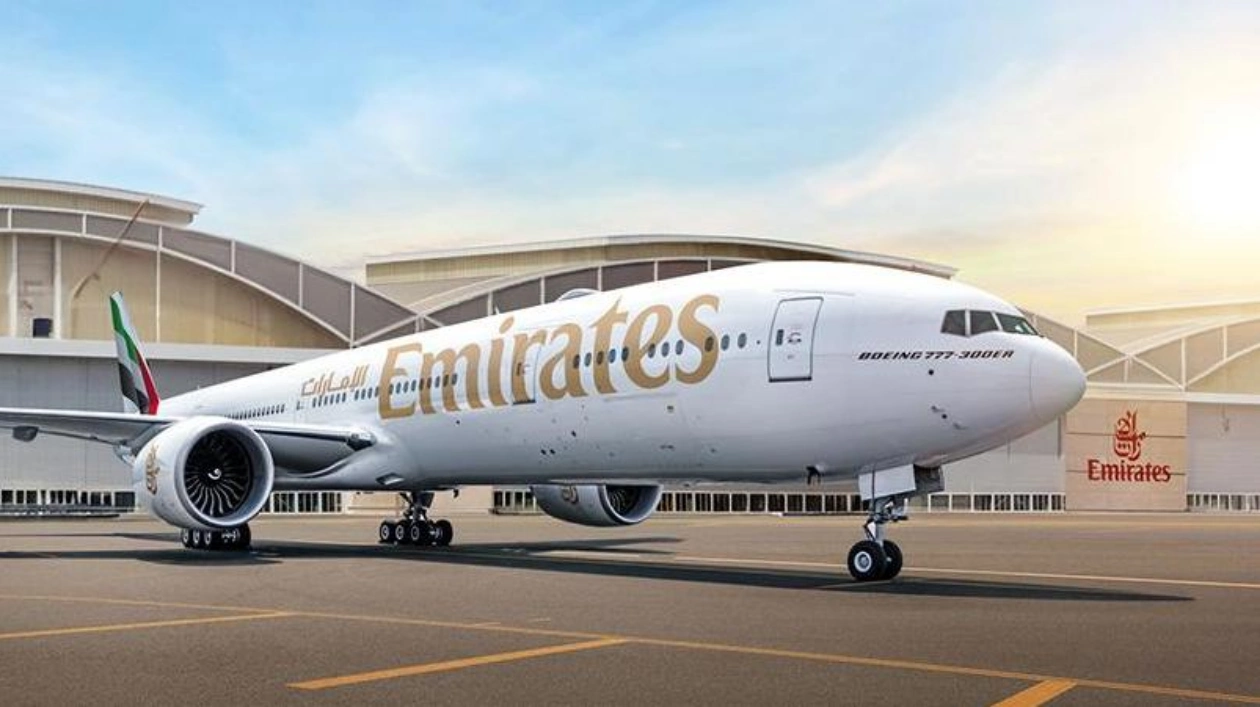 Стая фламинго повредила самолет Emirates в Индии