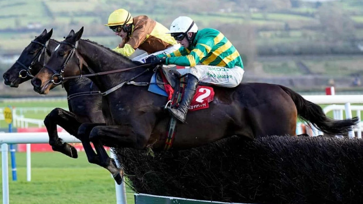 Cheltenham Gold Cup: New Favorite Emerges Amid British Drought