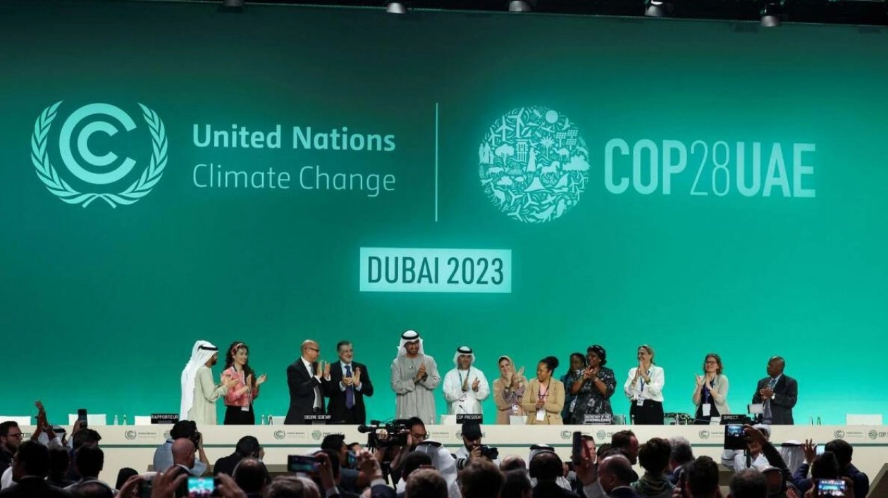 UAE Focuses on Climate Financing at COP29